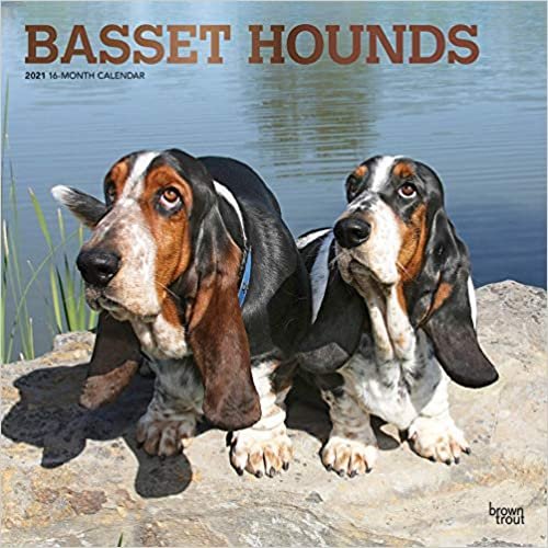 Basset Hounds - Bassets 2021 - 18-Monatskalender: Original BrownTrout-Kalender, mit freier DogDays-App indir