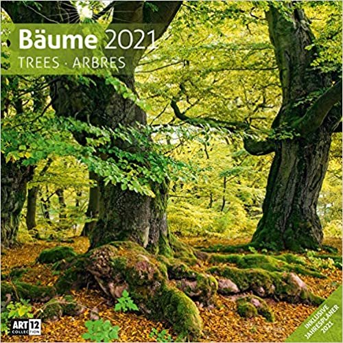 Bäume 2021 Broschürenkalender