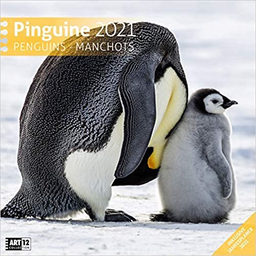 Pinguine 2021 Broschürenkalender indir