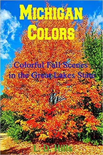 Michigan Colors: Colorful Fall Scenes in the Great Lakes State indir