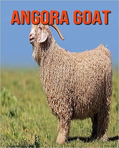 Angora Goat: Children Book of Fun Facts & Amazing Photos