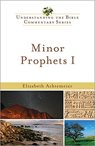 Minor Prophets I (New International Biblical Commentary: Old Testament)