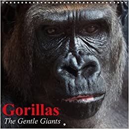 Gorillas * The Gentle Giants 2016: The world's most rare and critically endangered animal species (Calvendo Animals) indir