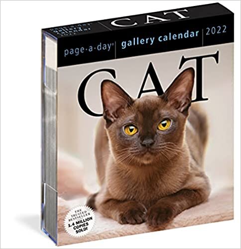 Cat Page-A-Day Gallery Calendar 2022