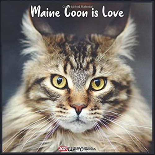 Maine Coon Is Love 2021 Wall Calendar: Official Maine Coon is Love Calendar 2021, 18 Months
