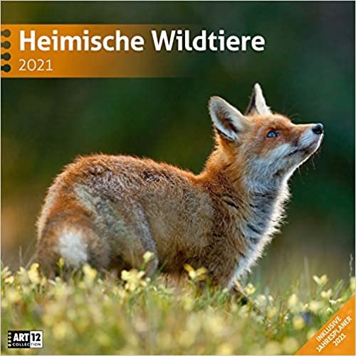 Heimische Wildtiere 2021 Broschürenkalender indir