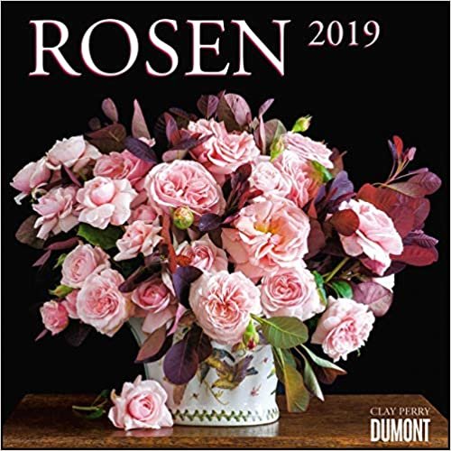 Rosen 2019