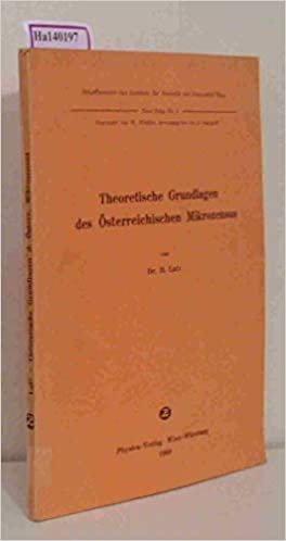 Theoretische Grundlagen des Österreichischen Mikrozensus: (Schriftenreihe des Instituts für Statistik der Universität Wien, Neue Folge Nr. 3)