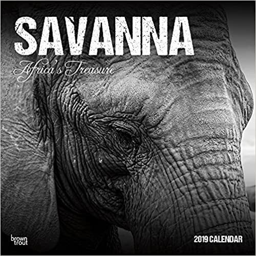 Savanna; Africa's Treasure 2019 Square Wall Calendar indir