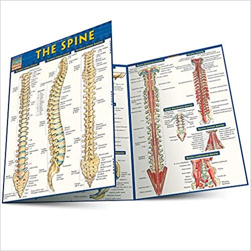 The Spine (Quick Study Academic) indir