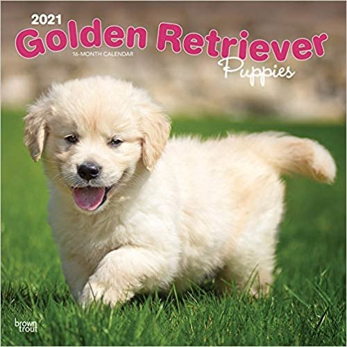 Golden Retriever Puppies - Golden Retriever-Welpen 2021 - 18-Monatskalender mit freier DogDays-App: Original BrownTrout-Kalender [Mehrsprachig] [Kalender] indir
