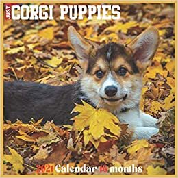 Corgi Puppies 2021 Calendar: Official Pembroke Welsh Corgi Wall Calendar 2021 indir