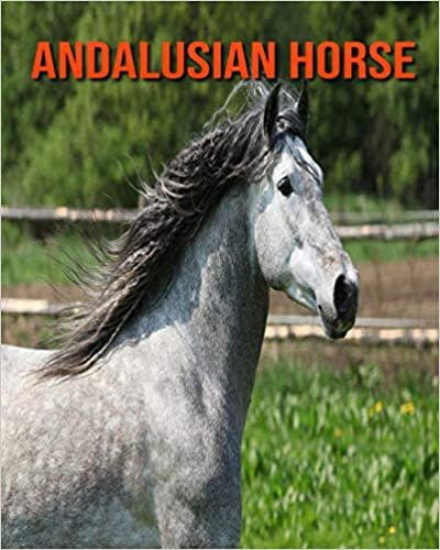 Andalusian Horse: Fascinating Andalusian Horse Facts for Kids with Stunning Pictures!
