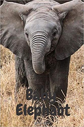 Baby Elephant: Notebook with Animals for Kids, Notebook for Coloring Drawing and Writing, ( Realistic Colors, 110 Pages, Unlined, 6 x 9)(Animal Glossy Notebook)