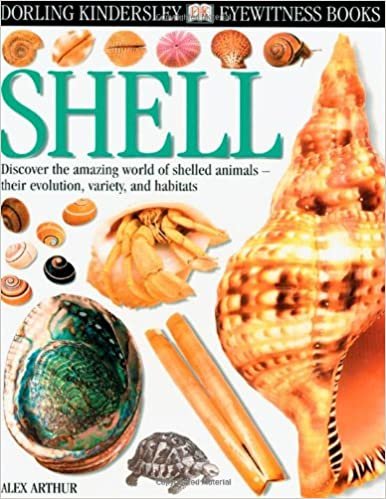 Shell (DK Eyewitness Books)