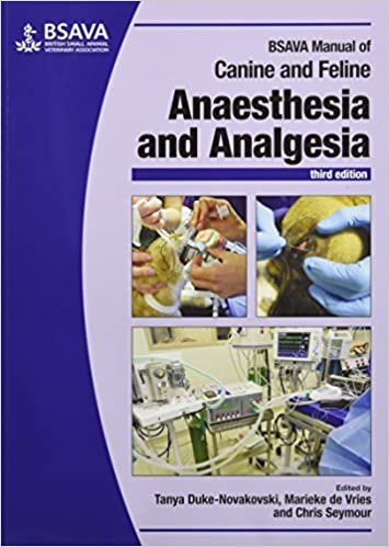 BSAVA Manual of Canine and Feline Anaesthesia and Analgesia (Democratic Transition and Consolidation (Jhup)) (BSAVA British Small Animal Veterinary Association)