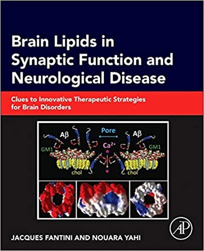 Brain Lipids in Synaptic Function and Neurological Disease: Clues to Innovative Therapeutic Strategies for Brain Disorders