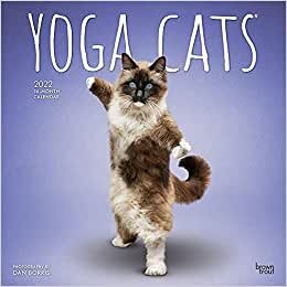 Yoga Cats - Joga-Katzen 2022 - 16-Monatskalender: Original BrownTrout-Kalender [Mehrsprachig] [Kalender] (Wall-Kalender) indir