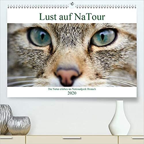 Lust auf NaTour - Nationalpark Hainich(Premium, hochwertiger DIN A2 Wandkalender 2020, Kunstdruck in Hochglanz): Fotowanderung durch den Nationalpark Hainich (Monatskalender, 14 Seiten )
