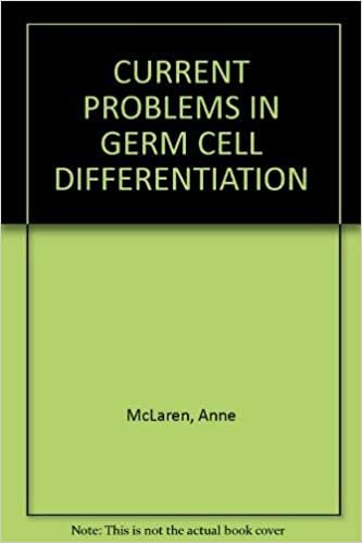 Current Problems in Germ Cell Differentiation (British Society for Developmental Biology Symposia, Band 7)