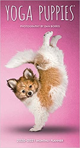 Yoga Puppies 2020 Two Year Pocket Planner