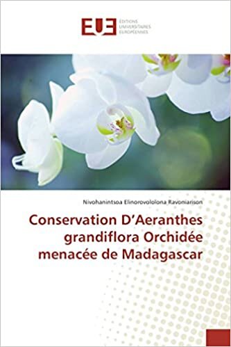Conservation D’Aeranthes grandiflora Orchidée menacée de Madagascar (Omn.Univ.Europ.)