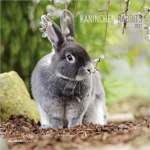 Kaninchen 2021 Broschürenkalender