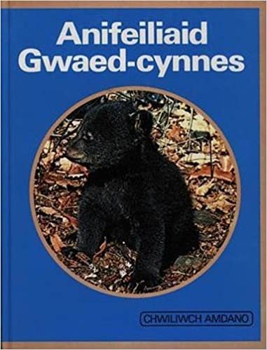 Cyfres Chwiliwch Amdano: Anifeiliaid Gwaed Cynnes indir