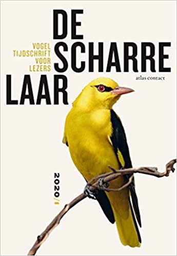 Vogeltijdschrift voor lezers 2020/1 (De Scharrelaar)