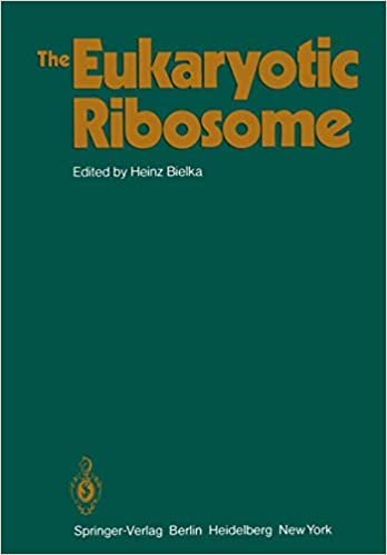 indir   The Eukaryotic Ribosome tamamen