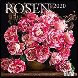 Rosen 2020
