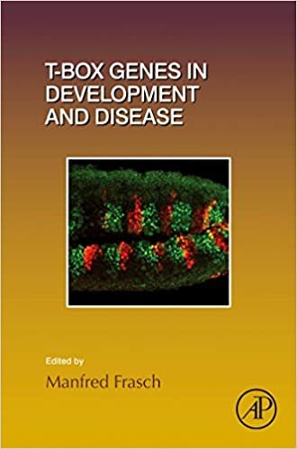 T-box Genes in Development and Disease: Volume 122 (Current Topics in Developmental Biology)