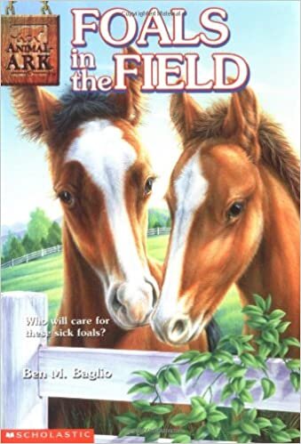 Animal Ark #24: Foals in the Fields