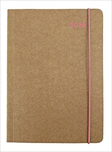 2019 Flamingo MidiFlexi Diary - 12 x 17 cm indir
