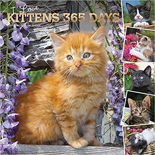 I Love Kittens 2021 Calendar: Foil Stamped Cover indir