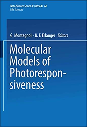 Molecular Models of Photoresponsiveness (Nato Science Series A: (68), Band 68) indir
