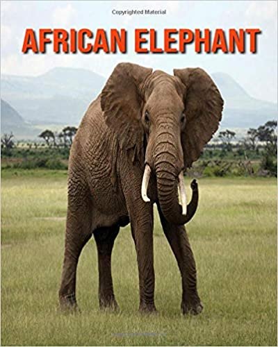 African elephant: Amazing Facts about African elephant