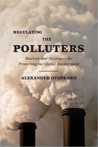 Regulating the Polluters: Markets and Strategies for Protecting the Global Environment