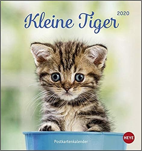 Katzen. Kleine Tiger PKK 2020