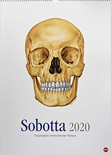 Sobotta Edition - Kalender 2020 indir