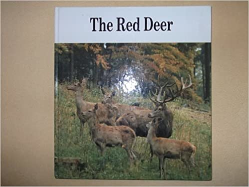 The Red Deer indir