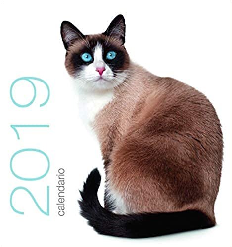 Calendrier de table 2019. Chats indir