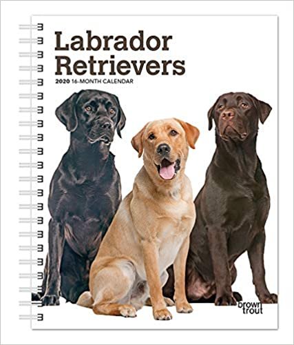 Labrador Retrievers 2020 Diary indir