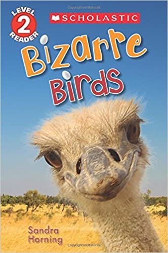 Bizarre Birds (Scholastic Readers, Level 2)