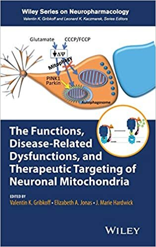 The Functions, Disease-Related Dysfunctions, and Therapeutic Targeting of Neuronal Mitochondria (Wiley Series on Neuropharmacology)