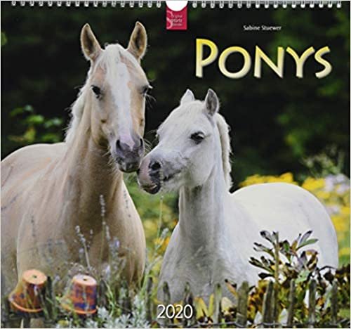 Ponys 2020