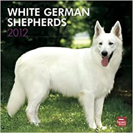 White German Shepherds 2012