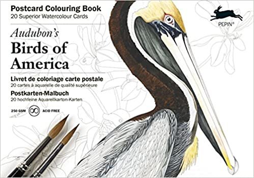 Audubon's Birds of America: Postcard Colouring Book (Multilingual Edition) indir