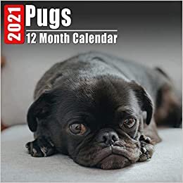 Calendar 2021 Pugs: Cute Pug Photos Monthly Mini Calendar With Inspirational Quotes each Month