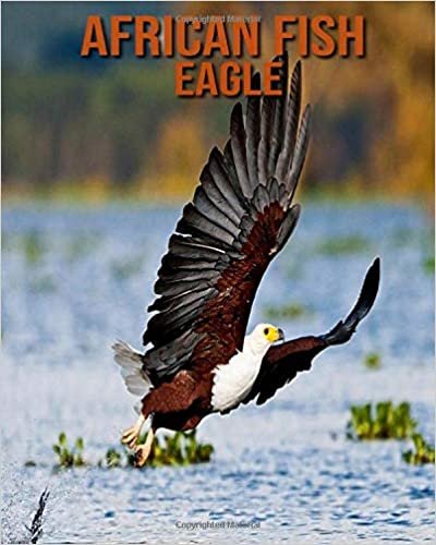 African fish eagle: Fun Learning Facts About African fish eagle